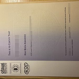 OCR Level 6 diploma