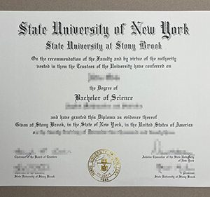 Stony Brook University degree