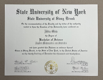 Stony Brook University degree