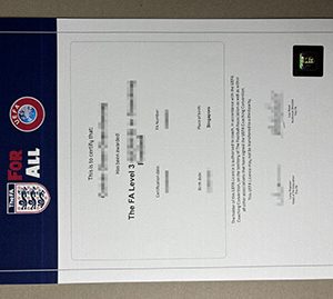 Union of European Football Associations certificate