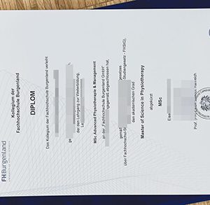 University of Applied Sciences Burgenland diploma