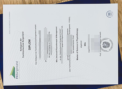 University of Applied Sciences Burgenland diploma