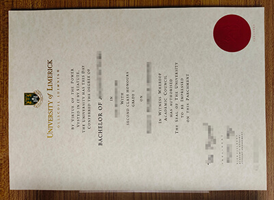 University of Limerick diploma