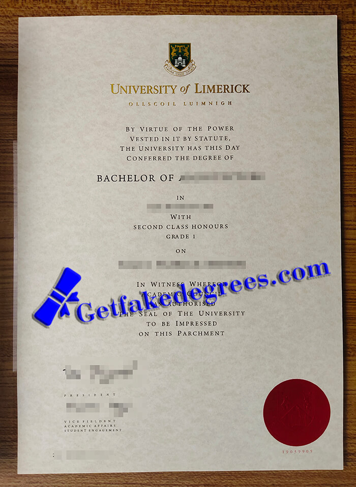 University of Limerick degree