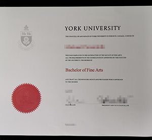 York University diploma