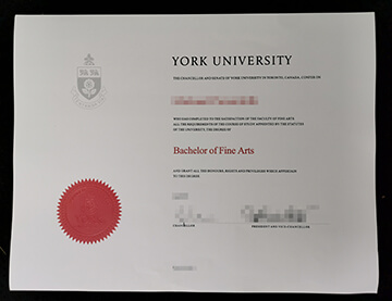 York University diploma