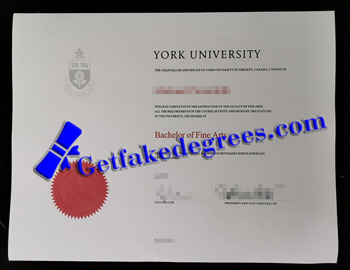 York University degree