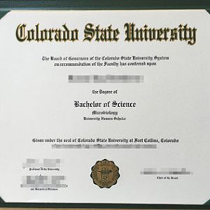 Colorado State University degree