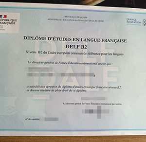 Diploma in French Language Studies degree