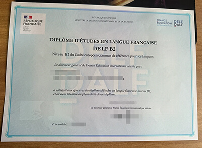 Diploma in French Language Studies degree