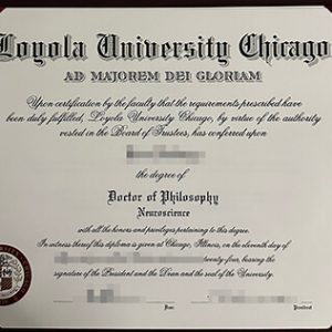 Loyola University Chicago degree