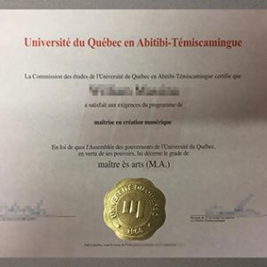 Université du Québec en Abitibi Témiscamingue degree