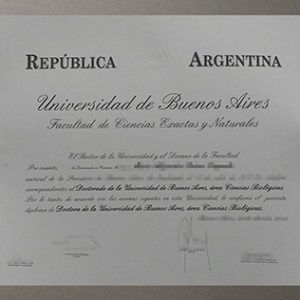 Universidad de Buenos Aires degree