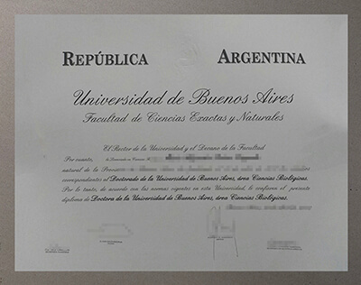 Universidad de Buenos Aires degree