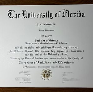 University of Florida diploma