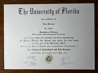 University of Florida diploma