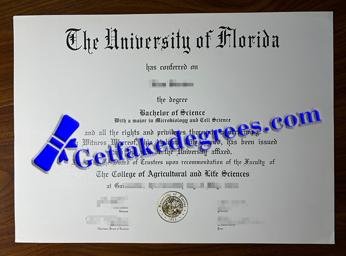 University of Florida degree