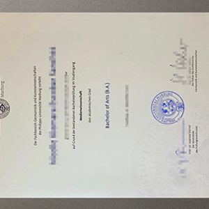 University of Marburg degree