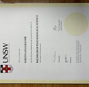 University of New South Wales degree