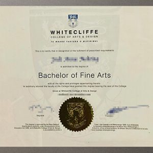 Whitecliffe College of Arts Design degree