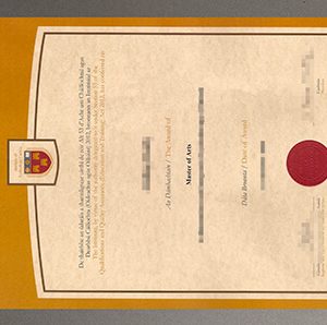 Institute of Technology Carlow diploma