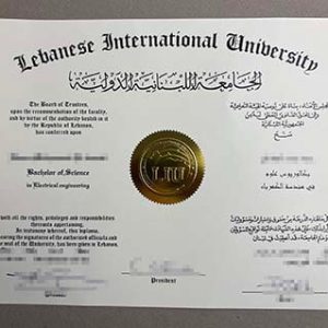 Lebanese International University degree