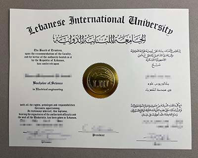 Lebanese International University degree