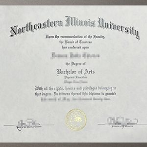 Northeastern Illinois University certificate