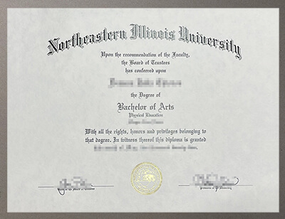 Northeastern Illinois University certificate