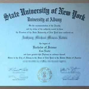 State University of New York at Albany degree