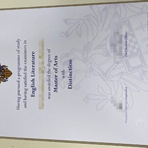 University of Surrey diploma