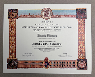 Università di Bologna diploma